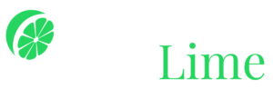 DataLime Logo